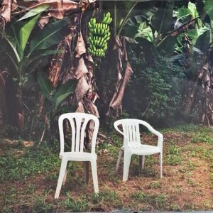 2026_02_03 12_02 Office Lens (1).jpg