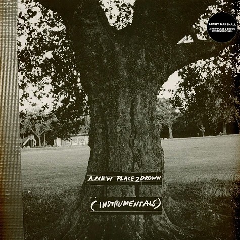 Archy Marshall - A New Place 2 Drown.jpg
