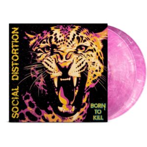 social_distortion.jpg