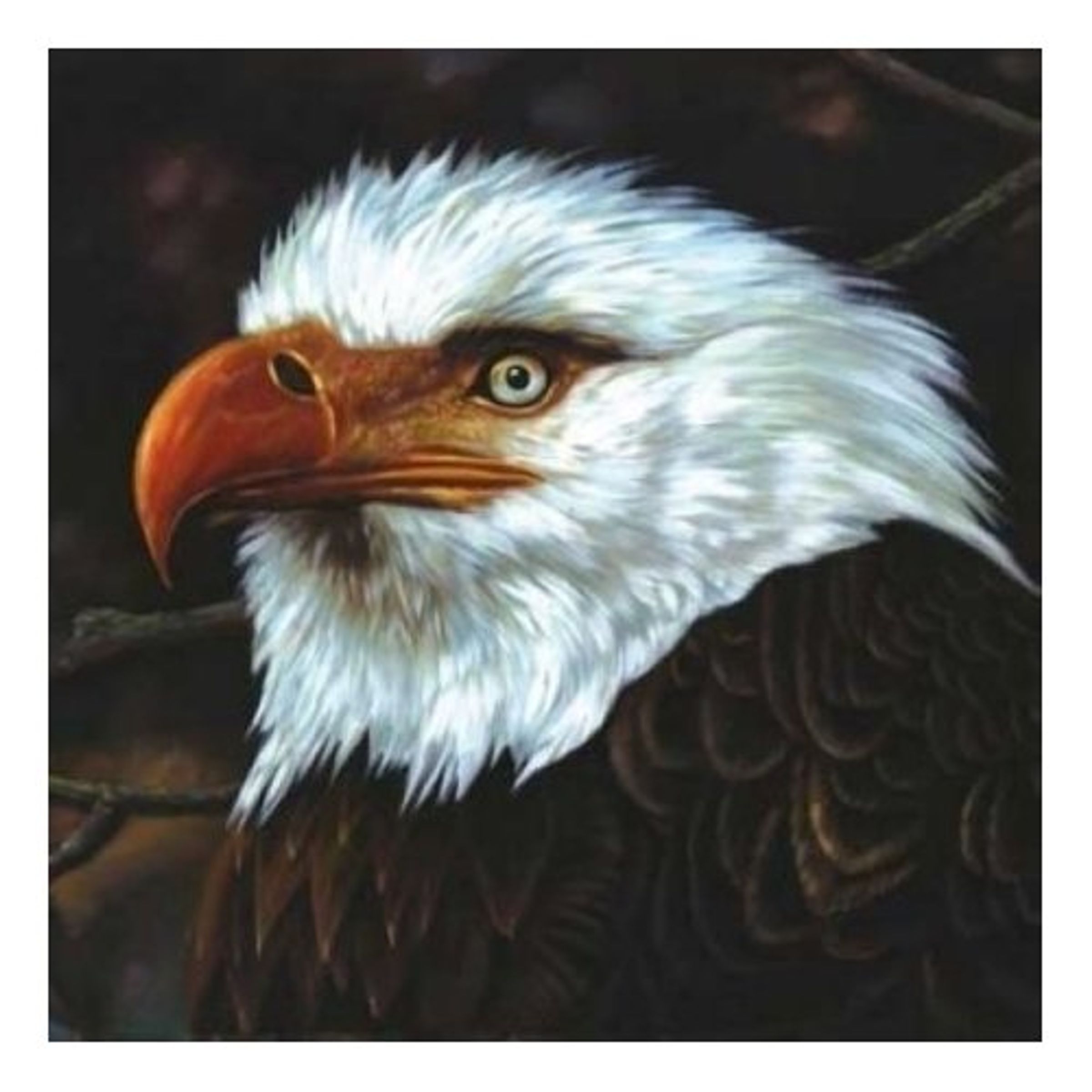 mogwai.jpg